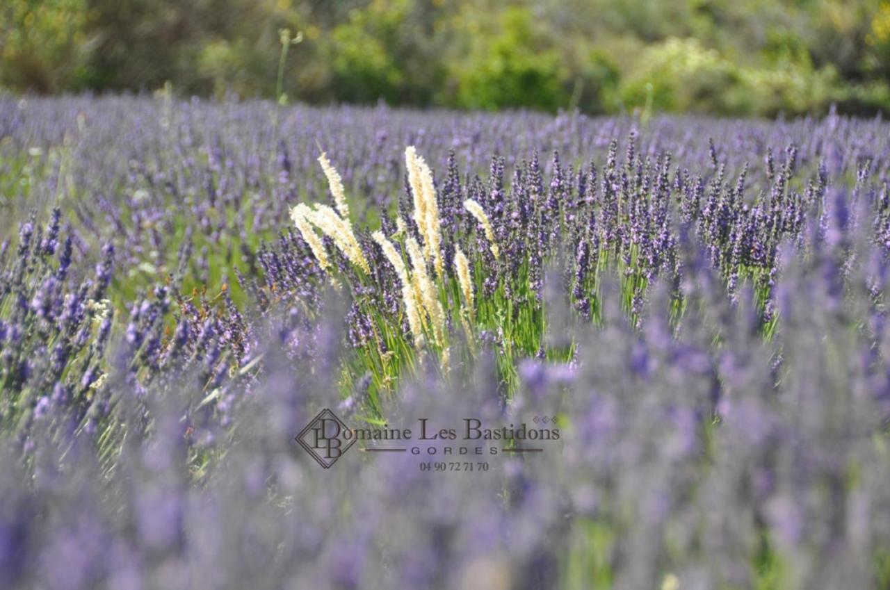 Domaine Les Bastidons Villa Gordes Dış mekan fotoğraf